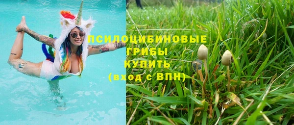 мдпв Балабаново