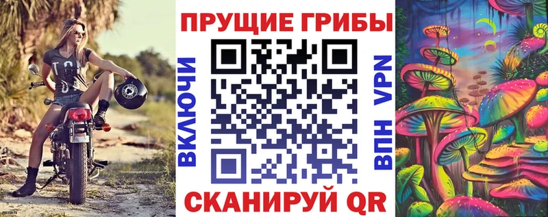 Псилоцибиновые грибы GOLDEN TEACHER  Комсомольск 
